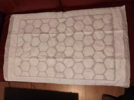 Photo of free 10 waterproof bed protectors (Isleworth TW7 Near Rugby Gd) #1
