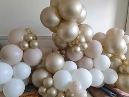 Photo of free Balloons (Deepdale, Preston) #1