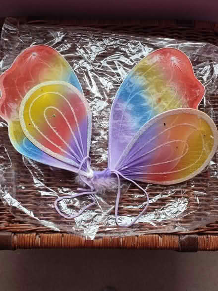 Photo of free Rainbow Fairy Wings (Fiveways BN1) #1