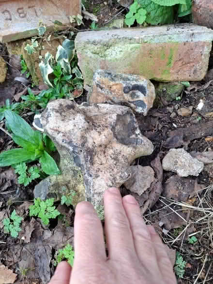 Photo of free Flint decorative stones (Watton at Stone SG14) #4