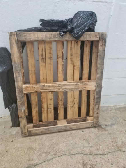 Photo of free Pallet (WD17) #1