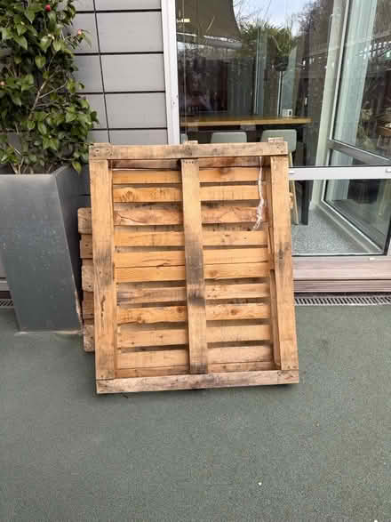 Photo of free Pallets x 4 (Reading RG6) #1