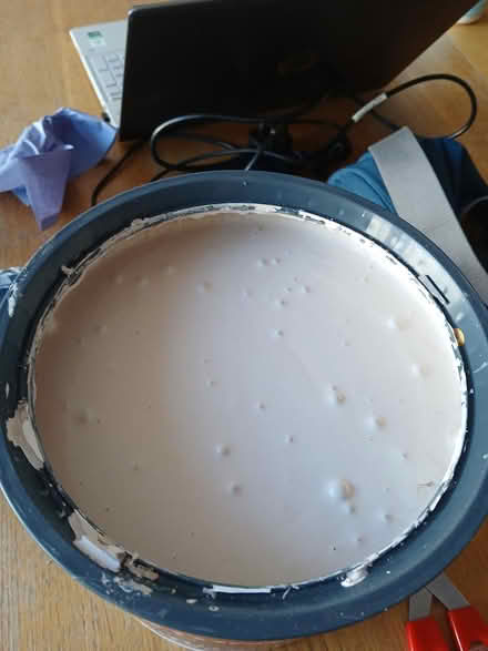 Photo of free 5L pink alabaster paint (Portobello EH15) #3