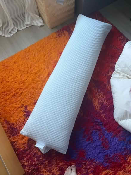Photo of free Arctic Sleep body pillow (Columbia Heights) #1
