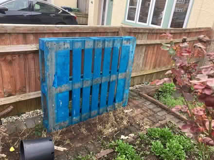 Photo of free Pallet (New Marston OX3) #1