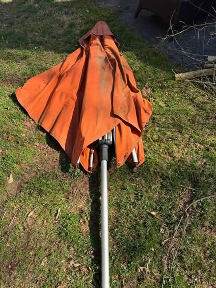 Photo of free Outdoor umbrella (Rose Hill) #1