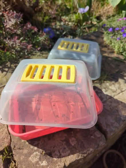 Photo of free Children's seed propagator (Sheffield S12) #1