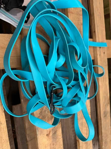 Photo of free Dog leads (Salisbury SP5) #1