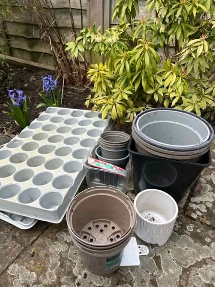 Photo of free Plant pots (TN14) #1