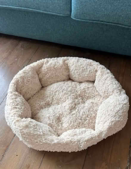 Photo of free Cat/small dog bed (SW8) #1