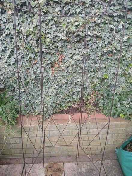 Photo of free Plant frame (SW2) #1