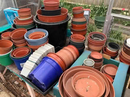 Photo of free Assorted plastic plant pots (West Hitchin SG5) #1