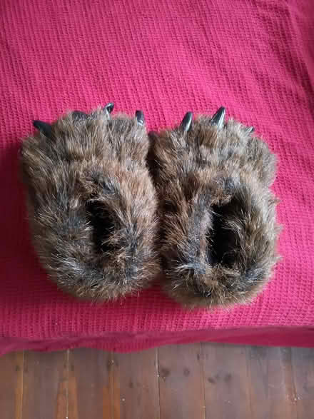 Photo of free Slippers (Colliers Wood SW19) #1