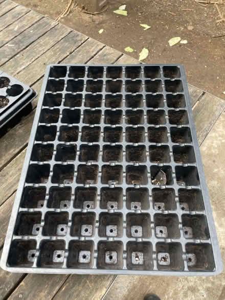 Photo of free Seed tray (69th Ave btw 60th Ln & 60th st) #1