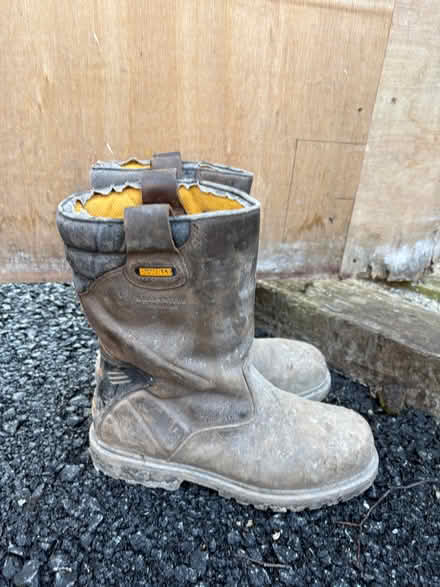 Photo of free Dewault work boots (Hereford HR1) #2