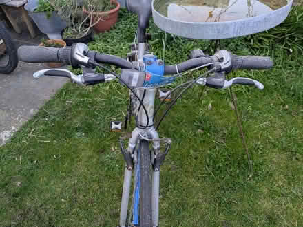 Photo of free Road bike adult Pendalton (Worthing) #4