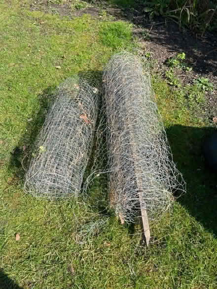 Photo of free Chicken wire (Cholsey OX10) #1