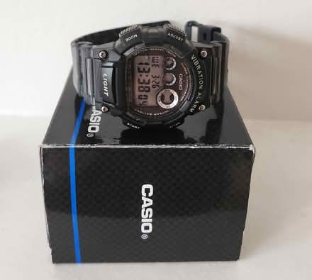 Photo of free CASIO Sports Watch (Sun In The Sands Roundabout SE3) #1