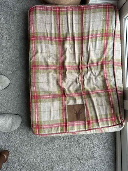 Photo of free Memory foam dog bed (Frodsham WA6) #1