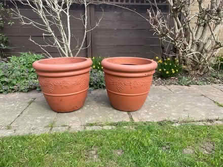 Photo of free 2 x plastic tubs with grape design (CM2 6. Chelmer Village) #1