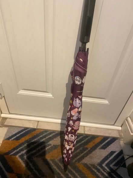 Photo of free Purple Umbrella (Stockport SK2) #1