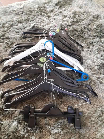 Photo of free Plastic coat hangers (Westfield S20) #1