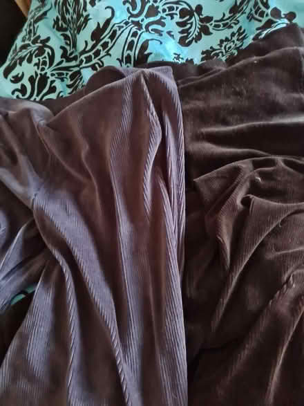 Photo of free Ladies size 18/20 cordoury trousers (Barton OX3) #1