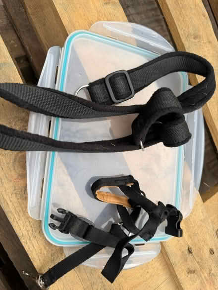 Photo of free Dog leads (Salisbury SP5) #2