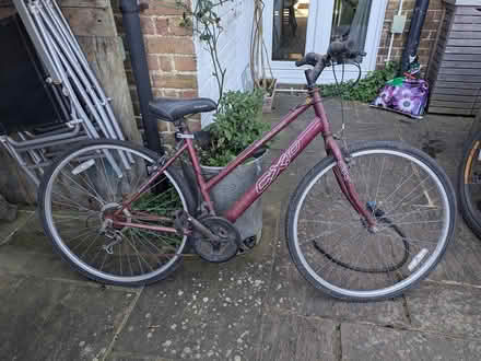 Photo of free Mountain bike adult (Worthing) #2