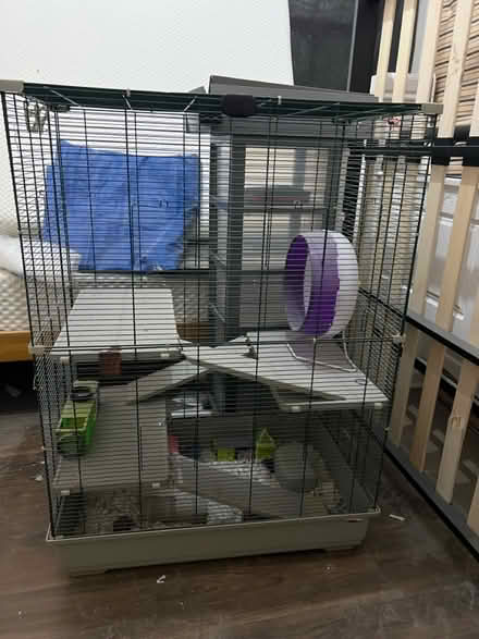 Photo of free Hampster or Small Pets Cage (SW13 0DQ) #1