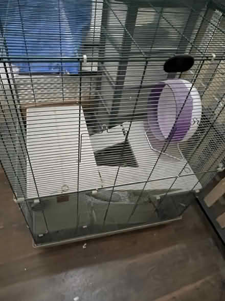 Photo of free Hampster or Small Pets Cage (SW13 0DQ) #3
