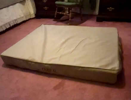 Photo of free Dog Bed (Arundel,View) #1
