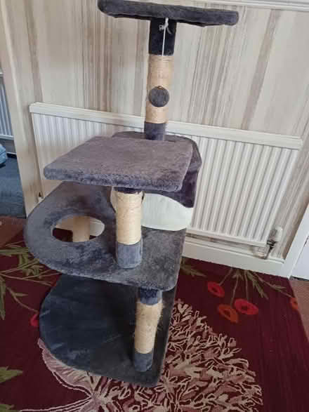 Photo of free Cat tree (Malvern Link WR14) #2
