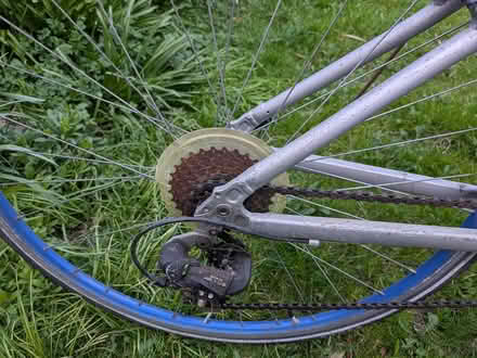 Photo of free Road bike adult Pendalton (Worthing) #3