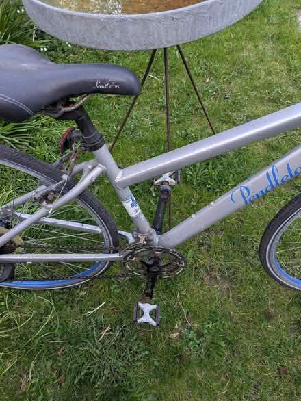 Photo of free Road bike adult Pendalton (Worthing) #2