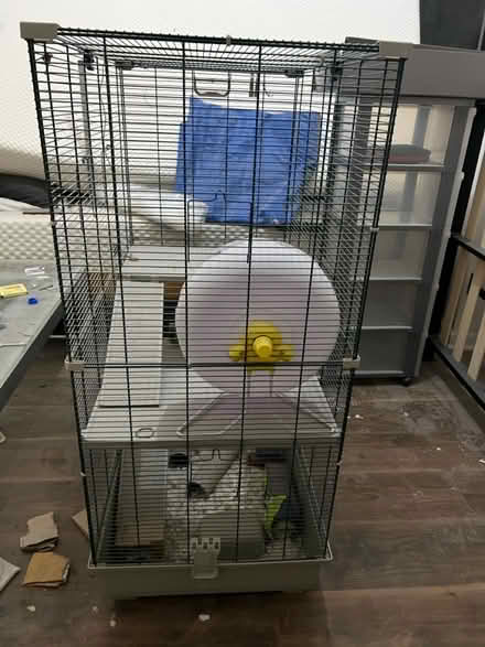 Photo of free Hampster or Small Pets Cage (SW13 0DQ) #4