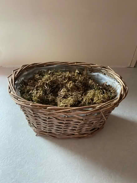 Photo of free Basket (Brook Green W6) #1
