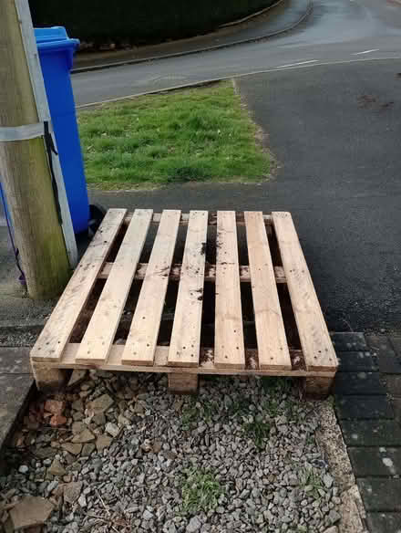 Photo of free Pallet (Brincliffe Edge S11) #1