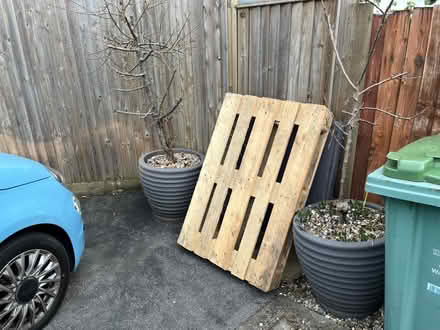 Photo of free Pallet (BA2) #1