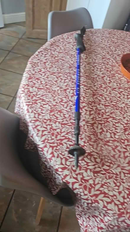 Photo of free Walking pole (Skipton BD23) #1