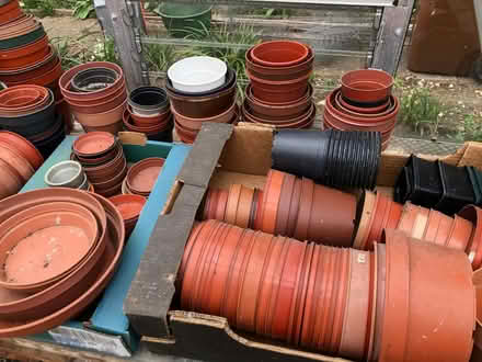 Photo of free Assorted plastic plant pots (West Hitchin SG5) #2