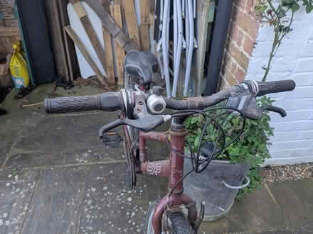 Photo of free Mountain bike adult (Worthing) #3