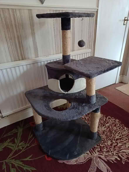 Photo of free Cat tree (Malvern Link WR14) #1