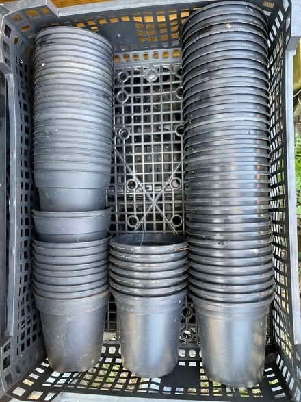 Photo of free Job lot of plastic plant pots (Warden Hill GL51) #3