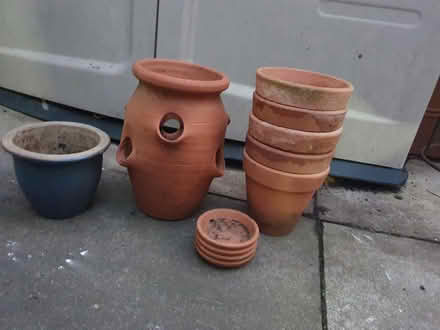 Photo of free Terracotta plant pots (Beckton E6) #1