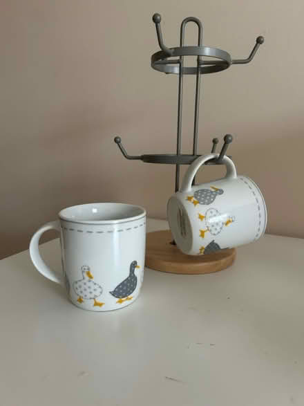 Photo of free 6 mugs (Edinburgh, EH5) #1