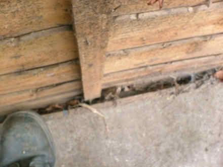 Photo of free Fence panels (OX11 Harwell) #3