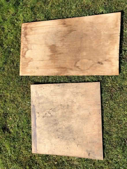 Photo of free Exterior Plywood - 2 boards (Harrogate HG2) #2