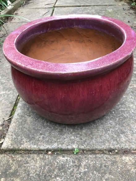 Photo of free Large burgundy ceramic planter (West Hitchin SG5) #1