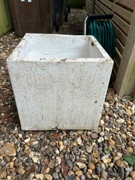 Photo of free Garden Plant Pot (White) (AL1) #1